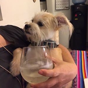 Meet your Posher, Becky